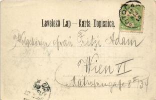 1900 Otocsán, Otocac; látkép. Heinrich Krapek kiadása / general view (apró szakadás / tiny tear)