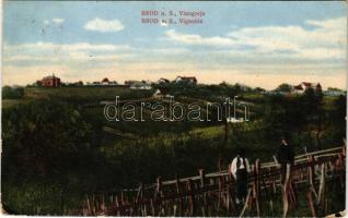1918 Bród, Nagyrév, Slavonski Brod, Brod na Savi; Vinogorje / Vignoble / szőlőültetvények. Vil. Lorschy kiadása / vineyards (kopott sarkak / worn corners)