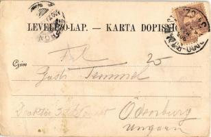 1900 Eszék, Essegg, Osijek; Pfarrkirche / Plébániatemplom, piac, üzletek. Georg Knittel fényképész k...