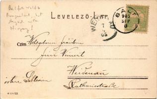 1905 Fertőboz, Bóz, Holling; látkép templommal (EK)