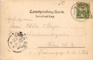 1901 Királyhida, Bruckújfalu Tábor, Brucker Lager, Bruckneudorf; Hauptstrasse in's Lager in Kir...