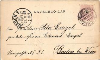 1898 Pozsony, Pressburg, Bratislava; Mihály utca, üzletek / Michaelergasse / street, shops (fl)