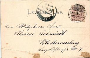 1899 Pöstyén, Piestany; Park részlet a Vág partján, komp. A. Bernas kiadása / Váh riverside, ferry (...