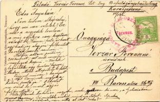 1915 Temesvár, Timisoara; Hungária fürdő Polatsek kiadása / spa + "Katonai ellenőrző bizottság ...