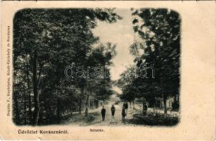 1907 Kovászna, Covasna; Sétatér. Bogdán F. fényképész / promenade (szakadások / tears)