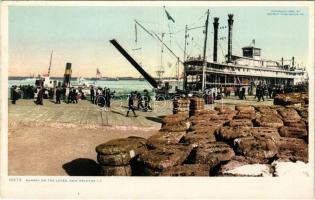 New Orleans (Louisiana), Sunday on the Levee, steamship, port
