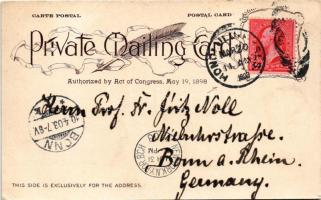 1903 Hawaii, Flower Market (EB)