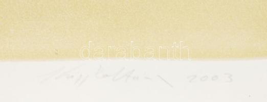 Kiss Zoltán (1965-): Gesztusok (cím nélkül), 2003. Litográfia, papír, jelzett, számozott: 9/13, 64,5...