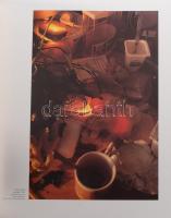 Natura Morta. A Velencei Biennale XLVII. Képzőművészeti kiállítása magyar pavilonjának kiadványa, 4 ...