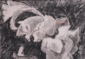 Ziffer Sándor (?): Csendélet. Szén, papír, jelezve jobbra fent. Paszpartuban. 29,5x20,5 cm