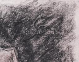 Ziffer Sándor (?): Csendélet. Szén, papír, jelezve jobbra fent. Paszpartuban. 29,5x20,5 cm