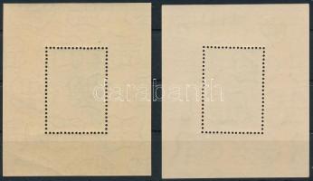 1948 Lánchíd (II.) 2 db blokk fényes és matt gumival (80.000) (a fényesen ránc / crease)