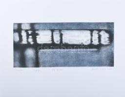 Formanek Barbara (1976-): Tükröződés I., 2001. Litográfia, papír, jelzett, művészpéldány E.A. VII./XXII. számozással, 16×40 cm