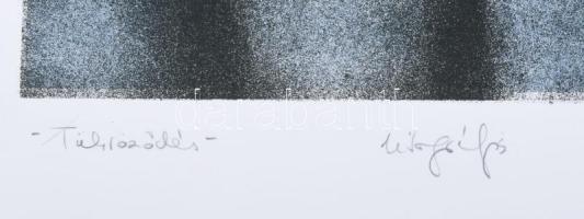 Formanek Barbara (1976-): Tükröződés I., 2001. Litográfia, papír, jelzett, művészpéldány E.A. VII./X...