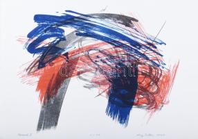 Kiss Zoltán (1965-): Tércsomók III., 2001. Litográfia, papír, jelzett, számozott: 2/13, 31x41 cm