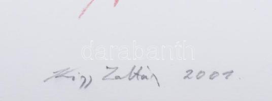 Kiss Zoltán (1965-): Tércsomók III., 2001. Litográfia, papír, jelzett, számozott: 2/13, 31x41 cm