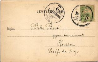 1903 Kápolnásnyék, Kápolnás-Nyék; Vörösmarty Mihály szülőháza és szobra, lakhelye (EB)