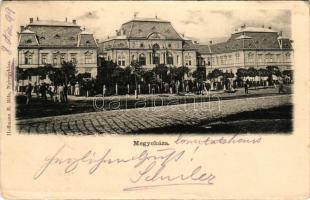 1899 Nyíregyháza, Megyeháza. Hoffmann B. Béla kiadása (EK)