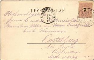 1899 Nyíregyháza, Megyeháza. Hoffmann B. Béla kiadása (EK)