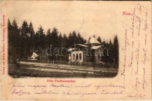 1902 Brassó, Kronstadt, Brasov; Noa, Villa Flechtenmacher. Julius Müller utóda kiadása / villas (vágott / cut)