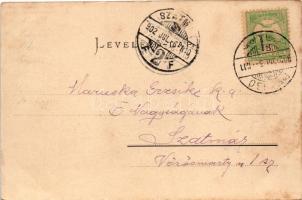 1902 Brassó, Kronstadt, Brasov; Noa, Villa Flechtenmacher. Julius Müller utóda kiadása / villas (vág...