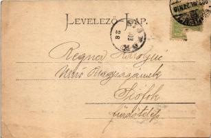 1903 Verőce, Nógrádverőce; Árpád utca + "BUDAPEST - BÉCS" vasúti mozgóposta bélyegző (EB)