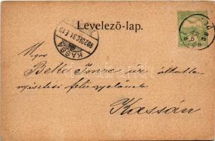 1902 Ipolyvarbó, Ipoly-Varbó, Nógrád-Varbó, Vrbovka; Szabó kastély, kúria, parkrészlet, gazdasági ud...