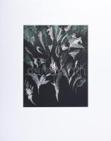 Kádár Katalin (1951-): Tűzijáték az ezredfordulón, 2000. Szitanyomat, papír, jelzett, számozott (10/...