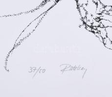 Ruttkay Sándor (1951-): Szerelmesek. Szitanyomat, papír, jelzett, számozott (37/50), 50×40 cm