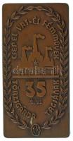 1980 k. "Csepel Vas- és Fémművek - 35 éves törzsgárda tagjának" bronz plakett (43x85mm) T:AU
