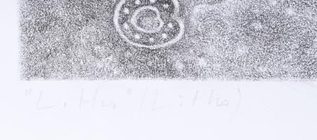 Zemlényi Csaba (1943-): Litho. Litográfia, papír, jelzett, számozott (17/66), 42x42 cm