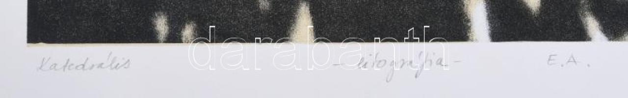 Varga Krisztina (1970-): Katedrális. Litográfia, papír, jelzett, művészpéldány E.A. jelzéssel. 52,5x...