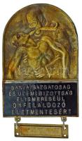 1950 k. "Bányaigazgatóság és Üzemibizottság elismeréséül önfeláldozó életmentésért" részben zománcozott bronz jelvény (55x37mm) T:AU,XF