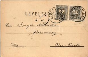 1899 Pinkóc, Pinkovac, Güttenbach; látképek, kastély / views, castle. Art Nouveau, floral (lyuk / ho...