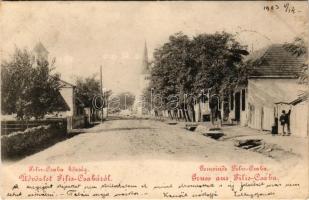 1903 Piliscsaba, község, utcakép (EK)