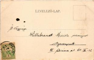 1903 Piliscsaba, község, utcakép (EK)