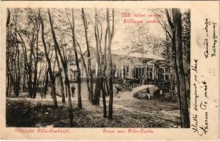 1903 Piliscsaba, Déli tábor cantin, K.u.k. katonák