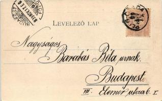 1899 Piliscsaba, Ő cs. és k. felsége mellszobra az északi és déli táborban. K. Gy. Budapest 101.sz. ...