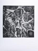 Kőszeghy Csilla (1977-): Belül, 2001. Cinkkarc, papír, jelzett, művészpéldány E.A. 5/XV. számozással...