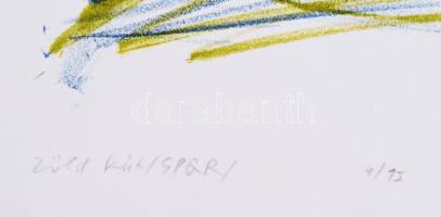 Szirányi István (1951-): Zöld kút (SPQR), 2004. Litográfia, papír, jelzett, 4/15 számozással, lapmér...