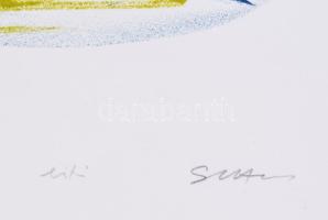 Szirányi István (1951-): Zöld kút (SPQR), 2004. Litográfia, papír, jelzett, 4/15 számozással, lapmér...