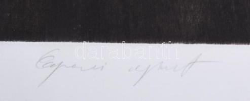 Olexa József (1960-): Tavasz. Hidegtű, papír, jelzett, egyszeri nyomat, 60×50 cm