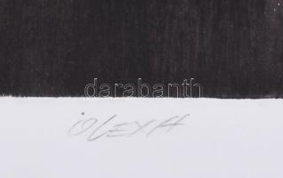 Olexa József (1960-): Tavasz. Hidegtű, papír, jelzett, egyszeri nyomat, 60×50 cm