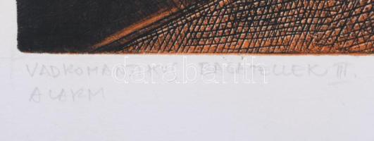 Eszik Alajos (1953-): Vadromantikus bagatellek III., 2000. Rézkarc, aquatinta, papír. Jelzett. Számo...