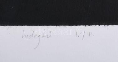 Berentz Péter (1972-): K2. Hidegtű, papír, jelzett, IV/III. számozással. 49x41 cm