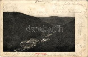 1905 Gidrafűrész, Pila, Sägmühl, Píla; Pila-völgy, látkép / valley (kis szakadások / small tears)