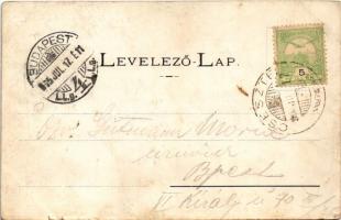 1905 Gidrafűrész, Pila, Sägmühl, Píla; Pila-völgy, látkép / valley (kis szakadások / small tears)