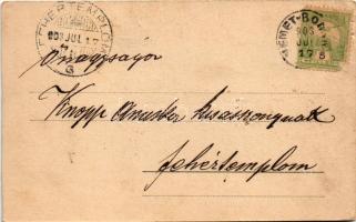 1903 Boksánbánya, Németbogsán, Deutsch-Bogsan, Bocsa Montana; látkép / general view (vágott / cut)