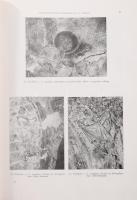 Heves megye műemlékei. I-III. kötet. Szerk. Dercsényi Dezső, Voit Pál. Magyarország műemléki topográ...