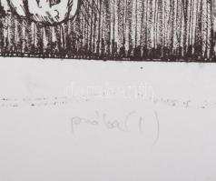 Vén Zoltán (1941-): Ariadné álma. Litográfia, papír, jelzett, próbanyomat, 64x49 cm